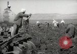 Image of Tilling the soil by machine and by animal Morocco North Africa, 1942, second 44 stock footage video 65675067423