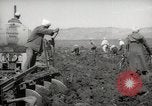 Image of Tilling the soil by machine and by animal Morocco North Africa, 1942, second 45 stock footage video 65675067423