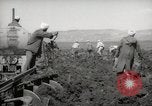 Image of Tilling the soil by machine and by animal Morocco North Africa, 1942, second 46 stock footage video 65675067423