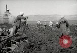Image of Tilling the soil by machine and by animal Morocco North Africa, 1942, second 47 stock footage video 65675067423