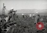 Image of Tilling the soil by machine and by animal Morocco North Africa, 1942, second 48 stock footage video 65675067423