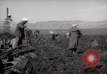 Image of Tilling the soil by machine and by animal Morocco North Africa, 1942, second 50 stock footage video 65675067423