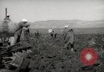 Image of Tilling the soil by machine and by animal Morocco North Africa, 1942, second 52 stock footage video 65675067423