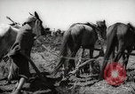 Image of Tilling the soil by machine and by animal Morocco North Africa, 1942, second 62 stock footage video 65675067423