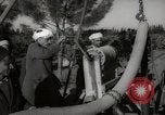 Image of Sultan Mohammed V drives family members in open car Morocco North Africa, 1942, second 55 stock footage video 65675067427