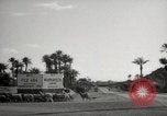 Image of People at work in marketplaces of Marrakech Morocco North Africa, 1942, second 12 stock footage video 65675067431