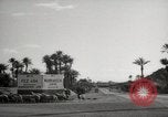 Image of People at work in marketplaces of Marrakech Morocco North Africa, 1942, second 13 stock footage video 65675067431