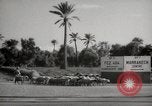 Image of People at work in marketplaces of Marrakech Morocco North Africa, 1942, second 21 stock footage video 65675067431