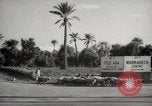 Image of People at work in marketplaces of Marrakech Morocco North Africa, 1942, second 23 stock footage video 65675067431