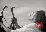 Image of Outdoor performers entertain spectators in Marrakech Morocco North Africa, 1942, second 29 stock footage video 65675067432
