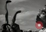 Image of Outdoor performers entertain spectators in Marrakech Morocco North Africa, 1942, second 47 stock footage video 65675067432
