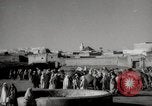 Image of Camels offered for sale at outdoor market in Marrakech Morocco North Africa, 1942, second 1 stock footage video 65675067433