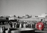 Image of Camels offered for sale at outdoor market in Marrakech Morocco North Africa, 1942, second 3 stock footage video 65675067433