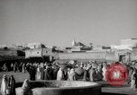 Image of Camels offered for sale at outdoor market in Marrakech Morocco North Africa, 1942, second 5 stock footage video 65675067433