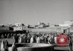 Image of Camels offered for sale at outdoor market in Marrakech Morocco North Africa, 1942, second 6 stock footage video 65675067433