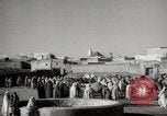 Image of Camels offered for sale at outdoor market in Marrakech Morocco North Africa, 1942, second 10 stock footage video 65675067433