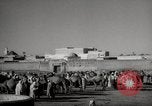 Image of Camels offered for sale at outdoor market in Marrakech Morocco North Africa, 1942, second 11 stock footage video 65675067433