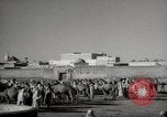 Image of Camels offered for sale at outdoor market in Marrakech Morocco North Africa, 1942, second 12 stock footage video 65675067433