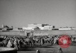 Image of Camels offered for sale at outdoor market in Marrakech Morocco North Africa, 1942, second 15 stock footage video 65675067433