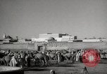 Image of Camels offered for sale at outdoor market in Marrakech Morocco North Africa, 1942, second 16 stock footage video 65675067433