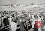 Image of Camels offered for sale at outdoor market in Marrakech Morocco North Africa, 1942, second 20 stock footage video 65675067433