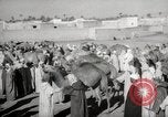Image of Camels offered for sale at outdoor market in Marrakech Morocco North Africa, 1942, second 21 stock footage video 65675067433