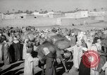 Image of Camels offered for sale at outdoor market in Marrakech Morocco North Africa, 1942, second 23 stock footage video 65675067433