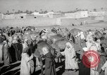 Image of Camels offered for sale at outdoor market in Marrakech Morocco North Africa, 1942, second 24 stock footage video 65675067433