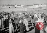 Image of Camels offered for sale at outdoor market in Marrakech Morocco North Africa, 1942, second 25 stock footage video 65675067433