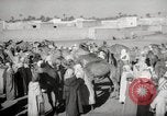 Image of Camels offered for sale at outdoor market in Marrakech Morocco North Africa, 1942, second 30 stock footage video 65675067433