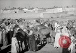 Image of Camels offered for sale at outdoor market in Marrakech Morocco North Africa, 1942, second 31 stock footage video 65675067433
