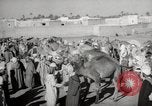 Image of Camels offered for sale at outdoor market in Marrakech Morocco North Africa, 1942, second 36 stock footage video 65675067433