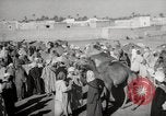 Image of Camels offered for sale at outdoor market in Marrakech Morocco North Africa, 1942, second 38 stock footage video 65675067433
