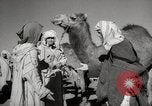 Image of Camels offered for sale at outdoor market in Marrakech Morocco North Africa, 1942, second 40 stock footage video 65675067433