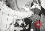 Image of Camels offered for sale at outdoor market in Marrakech Morocco North Africa, 1942, second 48 stock footage video 65675067433