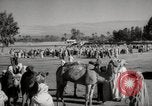 Image of Camels offered for sale at outdoor market in Marrakech Morocco North Africa, 1942, second 51 stock footage video 65675067433