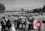 Image of Camels offered for sale at outdoor market in Marrakech Morocco North Africa, 1942, second 52 stock footage video 65675067433