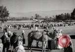 Image of Camels offered for sale at outdoor market in Marrakech Morocco North Africa, 1942, second 53 stock footage video 65675067433