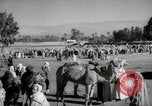 Image of Camels offered for sale at outdoor market in Marrakech Morocco North Africa, 1942, second 54 stock footage video 65675067433