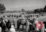 Image of Camels offered for sale at outdoor market in Marrakech Morocco North Africa, 1942, second 56 stock footage video 65675067433