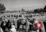 Image of Camels offered for sale at outdoor market in Marrakech Morocco North Africa, 1942, second 57 stock footage video 65675067433