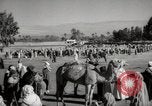 Image of Camels offered for sale at outdoor market in Marrakech Morocco North Africa, 1942, second 58 stock footage video 65675067433