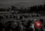 Image of Camels offered for sale at outdoor market in Marrakech Morocco North Africa, 1942, second 59 stock footage video 65675067433