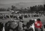 Image of Camels offered for sale at outdoor market in Marrakech Morocco North Africa, 1942, second 62 stock footage video 65675067433