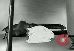 Standbild Private Snafu United States USA, 1944, aus Sekunde 35 historischem Filmmaterial Videoclip 65675067438
