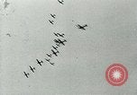 Standbild Royal Flying Corps RFC Vereinigtes Königreich, 1918, aus Sekunde 32 historischem Filmmaterial Videoclip 65675067439