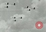 Standbild der Royal Air Force Vereinigtes Königreich, 1940, aus Sekunde 16 historischem Filmmaterial Videoclip 65675067440