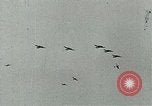 Standbild Royal Air Force Training Vereinigtes Königreich, 1940, aus Sekunde 10 historischem Filmmaterial Videoclip 65675067441