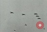Standbild Royal Air Force Training Vereinigtes Königreich, 1940, aus Sekunde 12 historischem Filmmaterial Videoclip 65675067441