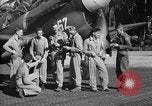 Image of Royal New Zealand Air Force operations Bougainville Island Papua New Guinea, 1944, second 34 stock footage video 65675067447